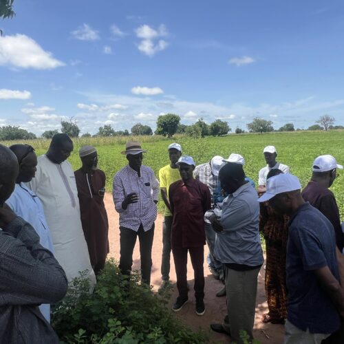 Comité de Gestion FNDASP sur le terrain