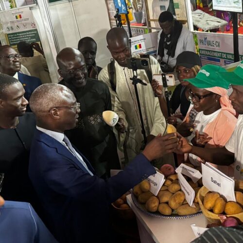 Ministre agriculture stang Gunde Mbay FIARA