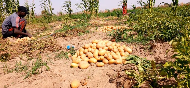 544faf99-bd38-41fb-9026-34eb4e4d2099