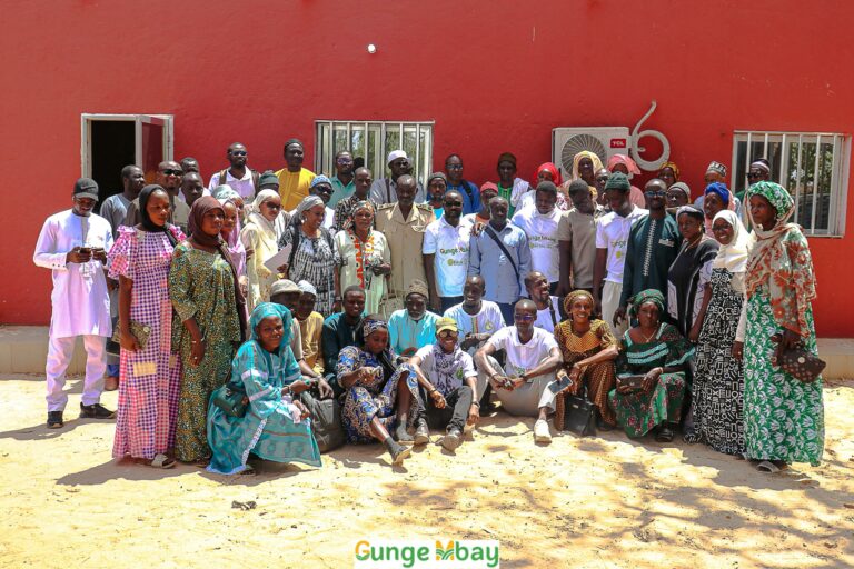 d95a8c73-cc75-4355-abd9-582138b039f8